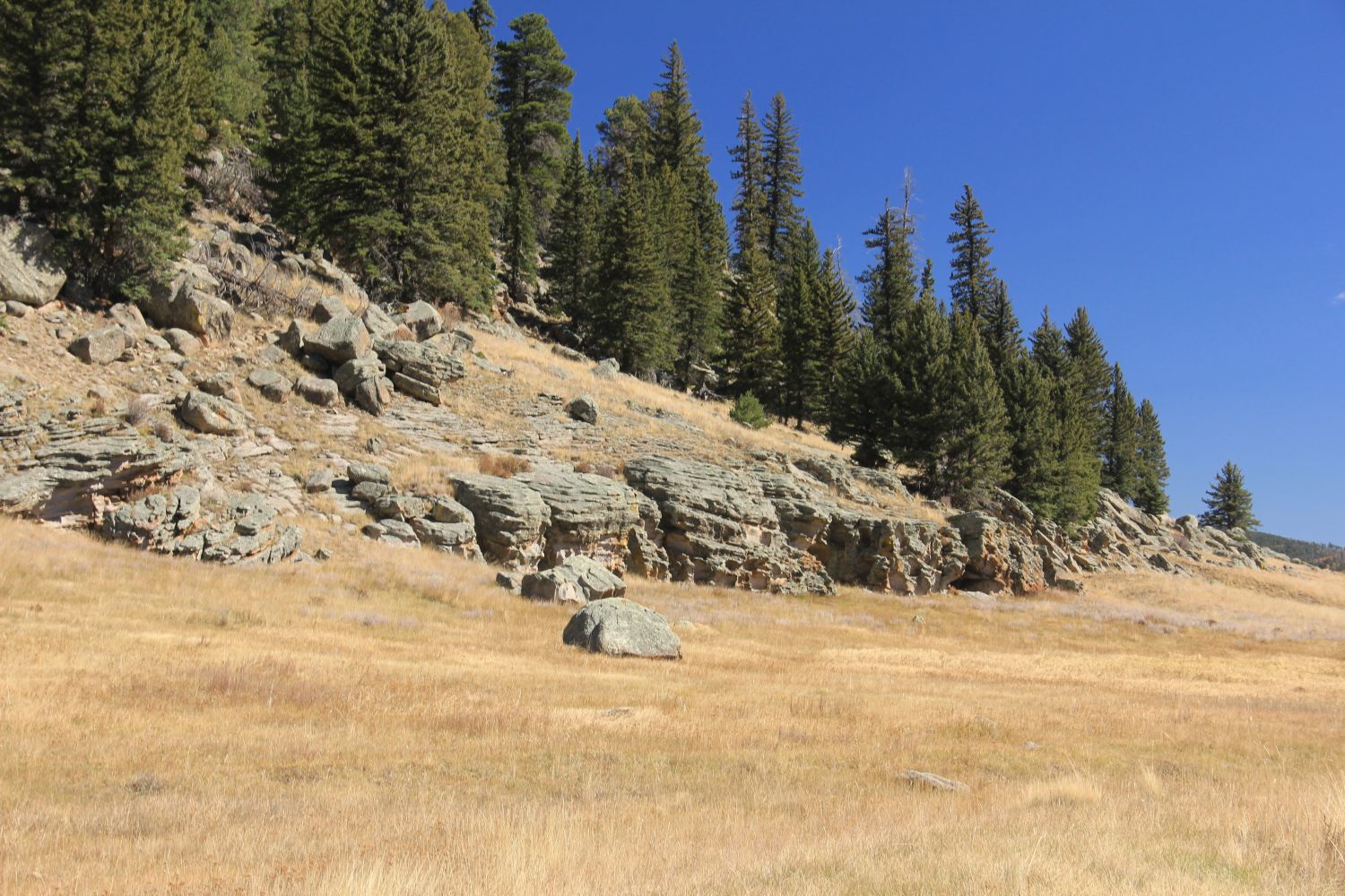 Valles Caldera National Preserve 